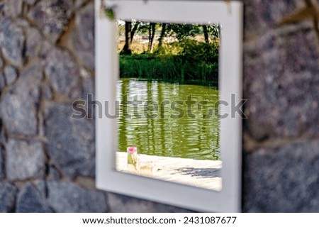 A blurred mirror painting on a stone wall with the reflection of the forest and water in the river.
