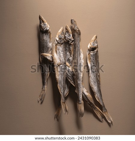Dry fish is a traditional ancient way of preserving, full of vitamins and minerals, omega-3. Traditional food and fermentation, winter preservation of Slavic and Scandinavian. Smelt fish
