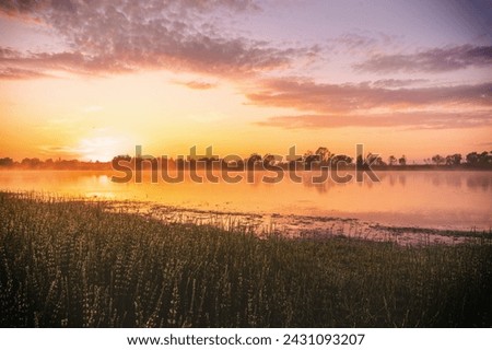 Sunrise or dawn above the pond or lake at spring or early summer morning with cloudy sky background, fog over water and reed grass with dew at foreground. Water reflection. Vintage film aesthetic.