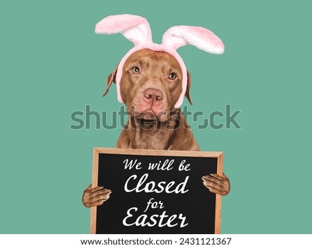 We will be closed for Easter. Signboard. Lovable, pretty dog. Closeup, studio shot, indoors. Day light. Congratulations for family, loved ones, relatives, friends and colleagues. Pets care concept