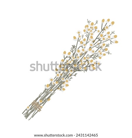 Dried chamomile herbs bunch isolated on white. Vector isolated illustration