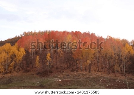 Magnificent autumn landscapes in the mountains