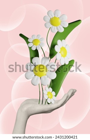 Photo collage artwork of arm palm growing gathering white daisy flowers isolated graphical background