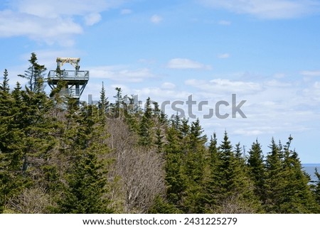 Observation tower over tree top Cape Enrage NB Canada Royalty-Free Stock Photo #2431225279