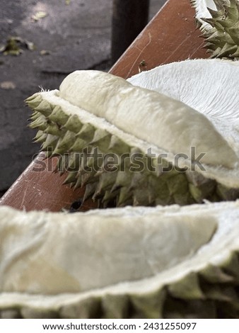 a picture of delicious and natural durian fruit