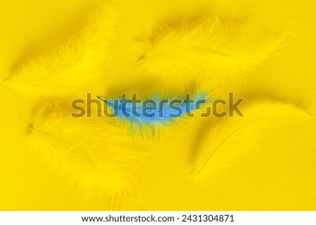 One blue feather among yellow ones on color background. Concept of uniqueness