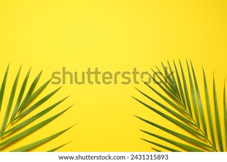 Green palm leaves on color background