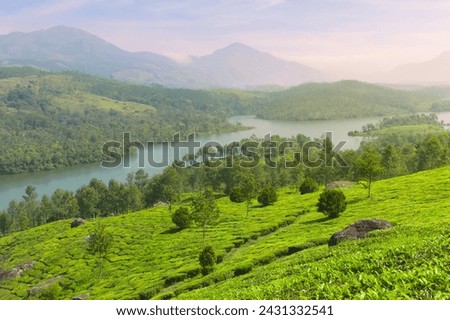 Elevated view across lush green tea plantation with river flowing through  against a backdrop of Kannan Devan Hills all under misty blue sky in Munnar, Kerala, India.