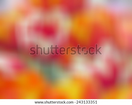 Abstract background. Pink and orange tulips background with blur and soft light effect.
