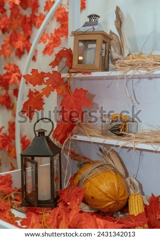 Autumn decoration in the studio. Photo zone for sessions, details of plants that are available in autumn, pumpkin, corn, cereals, as well as leaves with red color. Children's photo zone in autumn.