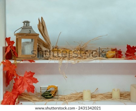 Autumn decoration in the studio. Photo zone for sessions, details of plants that are available in autumn, pumpkin, corn, cereals, as well as leaves with red color. Children's photo zone in autumn.