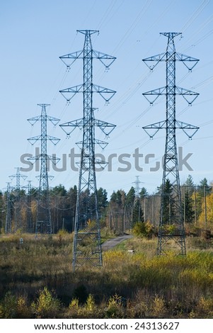 Support of electric mains against the blue sky in wood