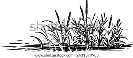 Vector reed grass and cattail, sketch. Black and white illustration of riverside. Royalty-Free Stock Photo #2431379985