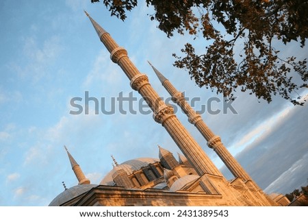 Selimiye mosque, which Grand Master Mimar Sinan called his journeyman work Royalty-Free Stock Photo #2431389543