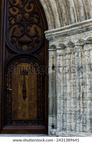 brown door on a light stone background