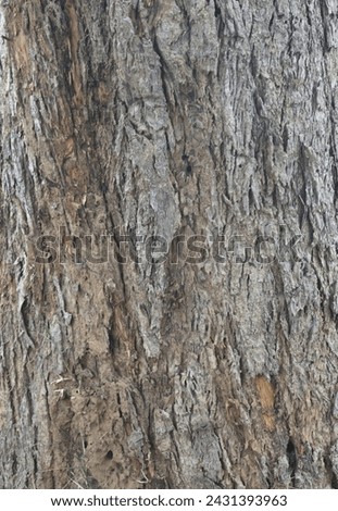 Old tree texture. Bark pattern, For background wood work, Bark of brown hardwood, thick bark hardwood, residential house wood. nature, tree, bark, hardwood, trunk, tree , tree trunk close up texture Royalty-Free Stock Photo #2431393963