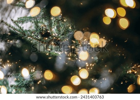 Close-up of lights on a Christmas tree in the center of Florence Royalty-Free Stock Photo #2431403763