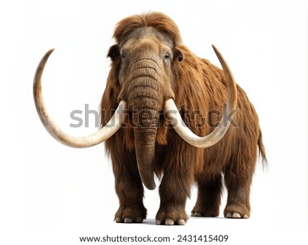 Woolly mammoth isolated on white background. Front view of extinct prehistoric mammal.