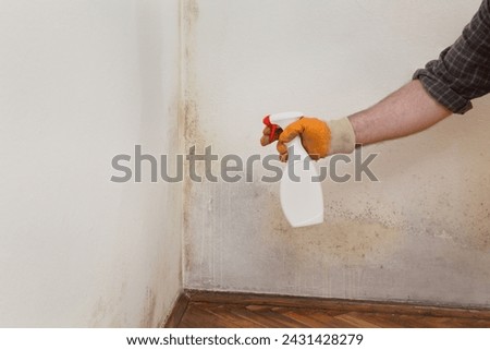 Mold removal in home, worker spraying cleaning solution from bottle to wall Royalty-Free Stock Photo #2431428279