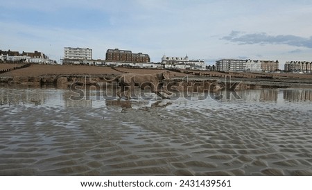 Weimaraner Dog posing on the beach in Bexhill, East Sussex