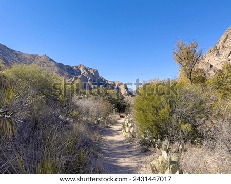 A narrow hiking trail through the desert landscape of Southwest Texas. This path has cactus, desert plants, sand and rocks along the way in Big Bend National Park in Texas. Royalty-Free Stock Photo #2431447017