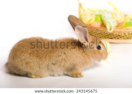  Easter bunny with basket and colored eggs