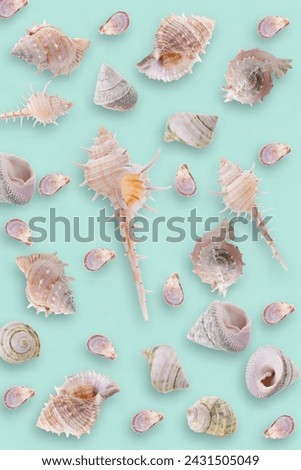 Seaside Seashell Collection, A beautiful frame of seashells on a blue sky color background, capturing the essence of nature and summer by the ocean