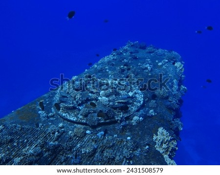 Part of the rusty shipwreck - funnel underwater. Scuba diving on the remains of the boat, underwater photography. Travel picture, wreck in the ocean. Corals on the steel structure and swimming fish.