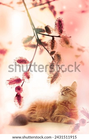Tabby kitten walking on the spring garden. Close up pussy willow branches background . Spring easter pussy willow branches . Pastel coloring.  Vertical banner