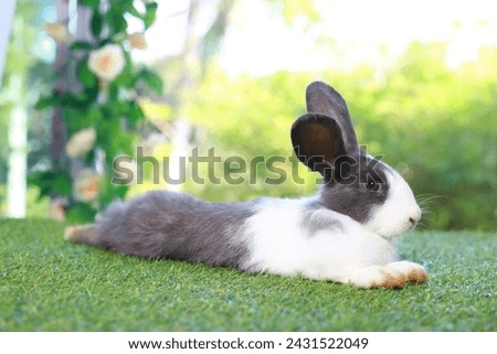 Cute fluffy white with black spot rabbit with long ears in flower garden, bunny animal lying on green grass. Happy easter and spring celebration festival.