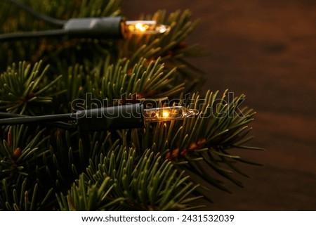 Christmas lights and branches of spruce on wooden surface