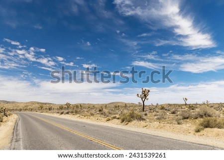 A breathtaking photo of Joshua Tree National Park, showcasing the unique landscape and beauty of the Mojave Desert
