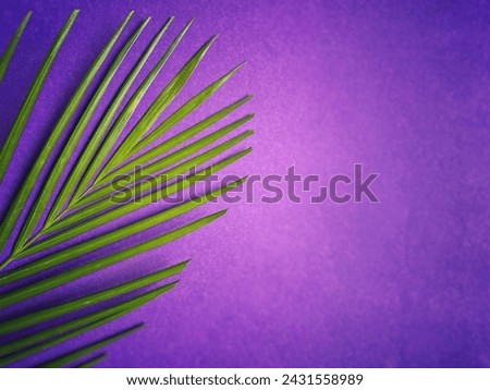 Holy Week, Lent, Palm Sunday, Good Friday, Easter Sunday Concept. Palm leaf in purple background with copy space. Royalty-Free Stock Photo #2431558989