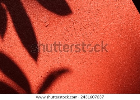Photo picture of Orange cement wall  using for background , having leaves black shadow on the left side and empty space for putting word in the middle of this picture.
