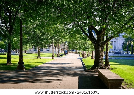 Park or Tree or Park view or Natural park or Wallpaper or Image or Photo or Picture