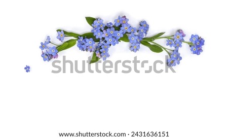 Flowers, Bouquet, Cool backgrounds picture