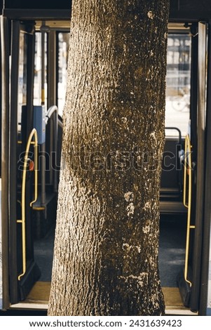 A tree trunk blocks access to a bus.