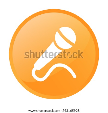 Microphone Icon on the button