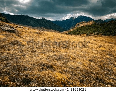 Extending over an are of 1325 sq. km, the dhorpatan hunting reserve is the only hunting reserve in Nepal. Located in Myagdi, Baglung and Rukum districts, It gratifies the foreign and national hunters  Royalty-Free Stock Photo #2431663021