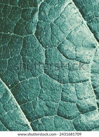 Cool green background art, natural textures to use