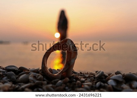 Picture of a sunrise taken through a seashell.
