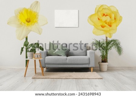 Stylish interior of room with grey sofa and beautiful narcissus flowers on wall