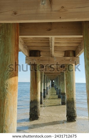 Vertical view under wood pier at Bay Vista Park in St. Petersburg, FL,  Sand, wood poles with high tide water marks leading out to Tampa Bay on a late sunny afternoon. No people with pilings.
 Royalty-Free Stock Photo #2431712675