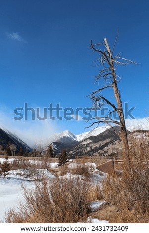 Snow in varying degrees in the high country in the Colorado Rockies.  Trees and snow in the foreground of the Mountains of Colorado.  Pockets of snow and drifts surrounded by dormant vegetation.   Royalty-Free Stock Photo #2431732409