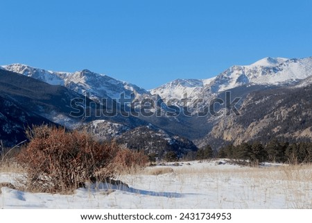 Snow in varying degrees in the high country comes to Colorado.  Trees in the foreground of the Rocky Mountains of Colorado.  Pockets of snow and drifts surrounded by dormant vegetation.   Royalty-Free Stock Photo #2431734953