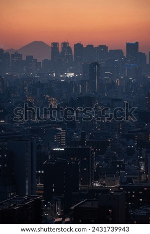 Twilight skyline of Tokyo and Mt Fuji, Japan