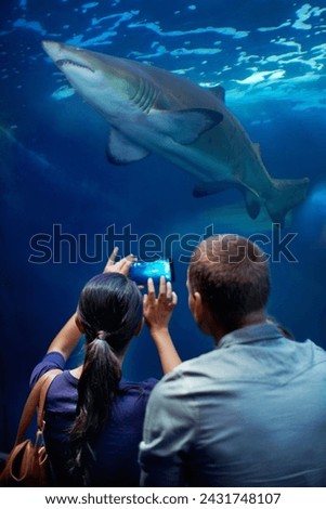 Couple, aquarium and picture of shark, display and cellphone for capture of memories. Technology, photography and social media for married man and wife, animal or rescue centre for marine life