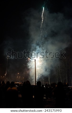 Group of people watching fireworks outdoors.