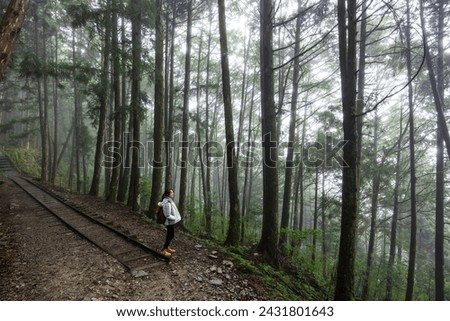 Woman go hiking in foggy mist forest in Taipingshan of Taiwan
