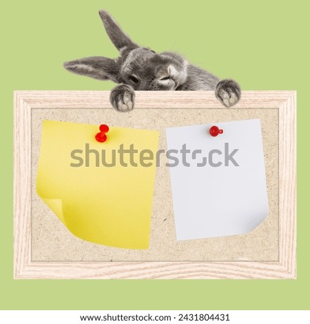 Rabbit and bulletin board, place for text. Happy Easter